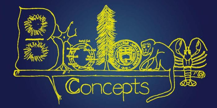 1920x1080 Biology Wallpapers 142.23 Kb - 4USkY