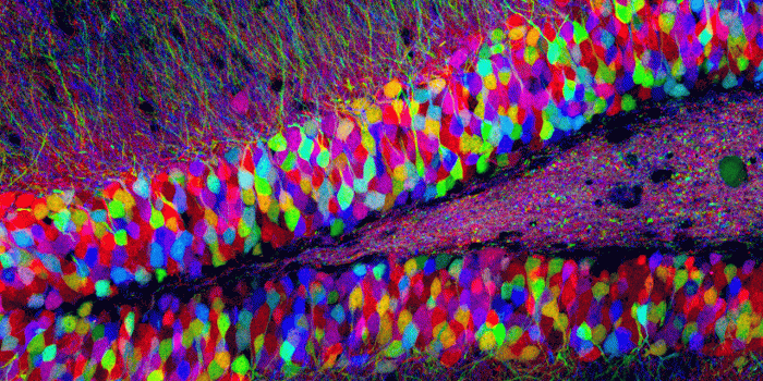 1280x1024 2016 Biology HDQ Wallpapers, HD Quality Backgrounds #41FBZ