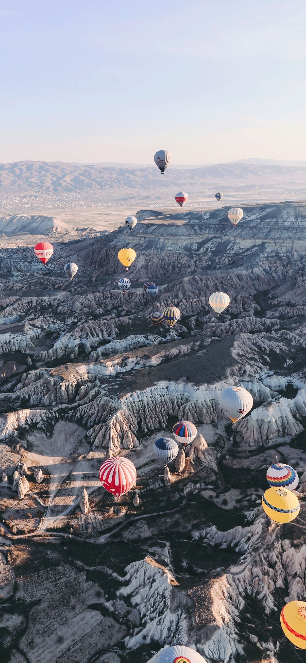 1242x2688 Turkey Wallpaper for iPhone X, 8, 7, 6 - Free Download on 3Wallpapers