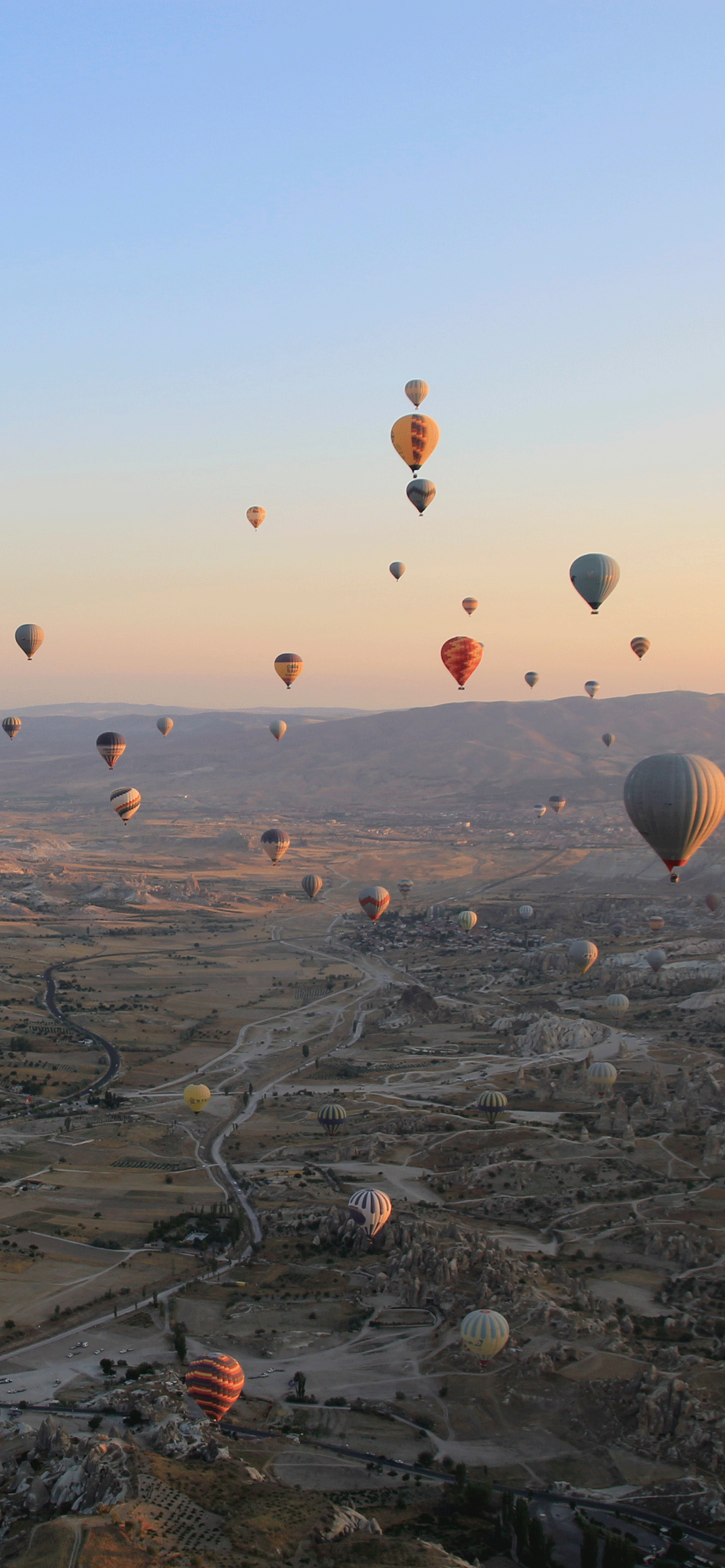 1242x2688 Turkey Wallpaper for iPhone X, 8, 7, 6 - Free Download on 3Wallpapers