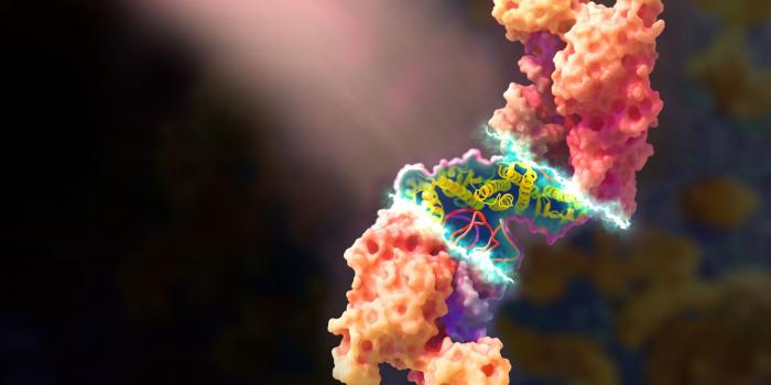 1920x1200 Beautiful Free Science Wallpaper | Medical Wallpaper | XVIVO