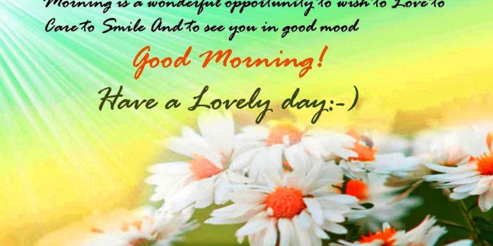 1915x1191 Friday Good Morning Wallpaper (42+), Find HD Wallpapers For Free