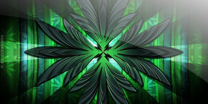 1920x1080 Gfx Backgrounds | gfx wallpaper | Computer wallpaper, Plant leaves