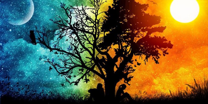 1600x1000 Abstract Tree Wallpapers ~ Media Wallpapers | Wallpapers | Summer