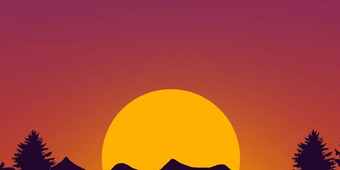 1080x1920 Drawing Wallpaper for iPhone X, 8, 7, 6 - Free Download on 3Wallpapers