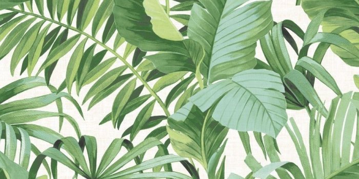 927x927 Details about Tropical Leaf Wallpaper Palm Tree White Green A Street Prints  Paste The Wall