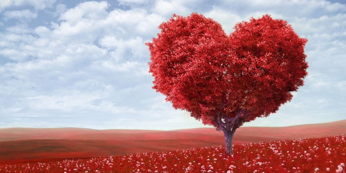 2880x1800 Red Love Heart Tree Wallpapers | HD Wallpapers | ID #16776