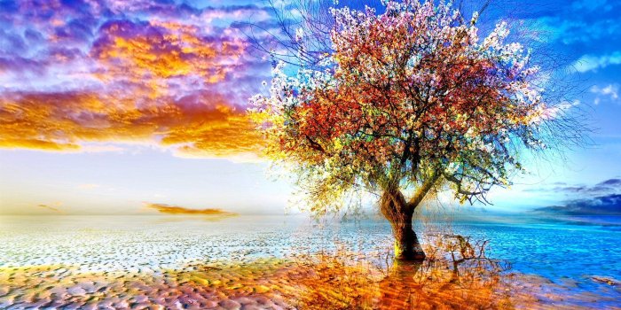 2560x1600 LONELY TREE [01] colorful [27september2012thursday] [VersionOne