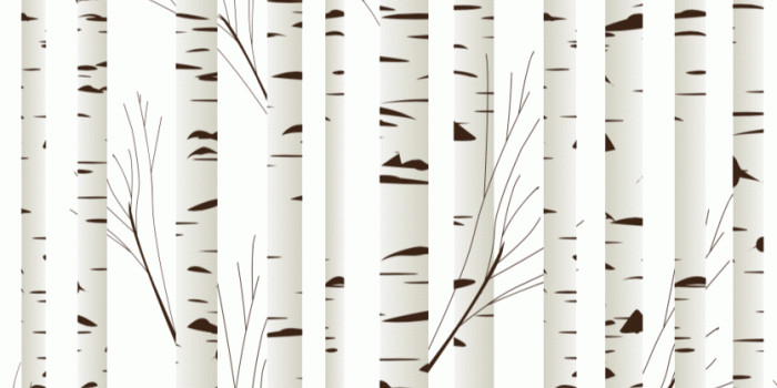 836x1023 Birch Tree Wallpaper (Self-Adhesive)