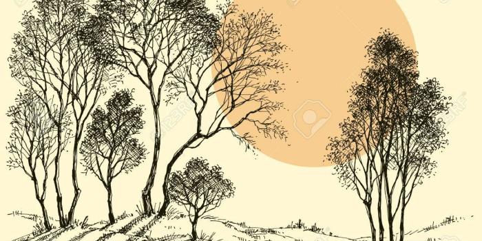 1300x955 Drawing Of Forest Scenery Wallpaper - [800x480] Sunset In The