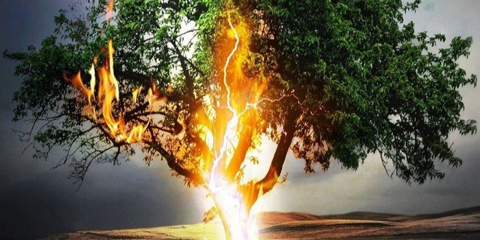 1080x1920 Lonely Tree Wallpaper - [1080x1920]