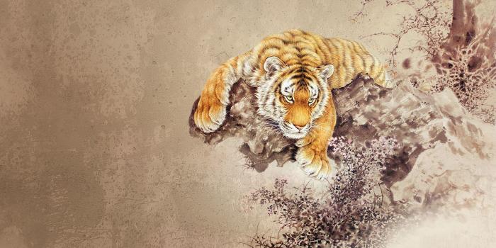 1920x1200 drawing wallpapers