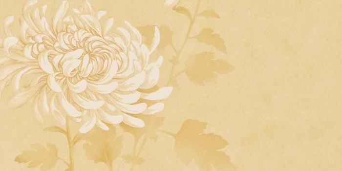 1000x1000 Zoffany Cream Wallpaper Roll - Flat Patterned Macao Design - Colour:  HSQ03002