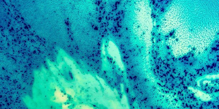 1440x2960 30 QHD wallpapers perfect for your Samsung Galaxy S8 and S8+ - deTeched