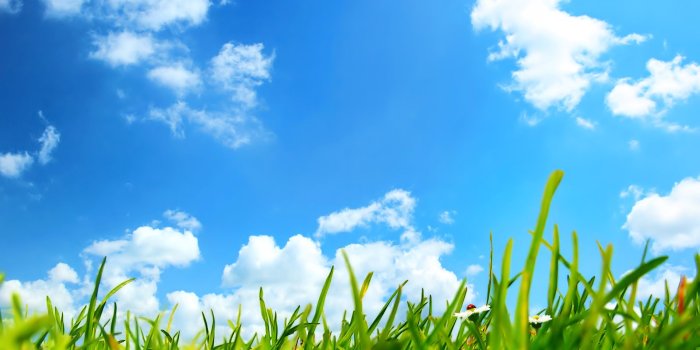 1920x1200 Sky Grass Wallpaper 08514 - Baltana