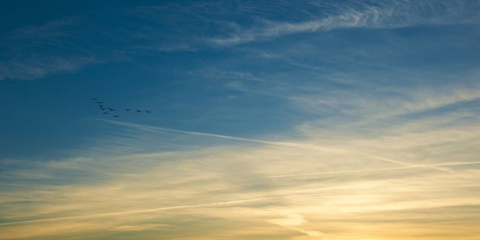 1920x1200 Golden Sky wallpapers | Golden Sky stock photos