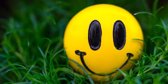 1332x850 Wallpaper grass, macro, smile, smiley images for desktop, section  настроения - download