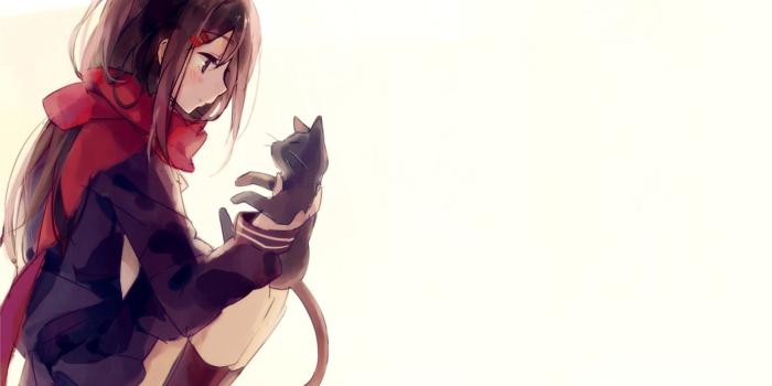 1920x1080 65+ Anime Cat Phone Wallpapers - Download at WallpaperBro