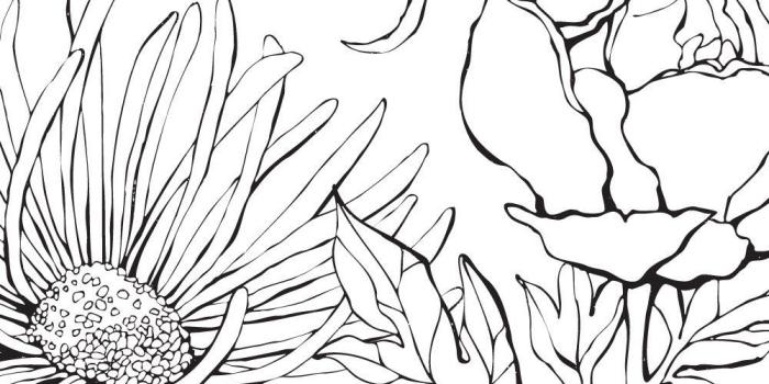 1000x1256 Botanical Garden Hand Drawn Flowers Mural Wall Art Wallpaper - Peel