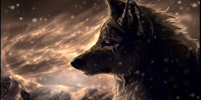 1920x1080 Drawn wolf wallpaper