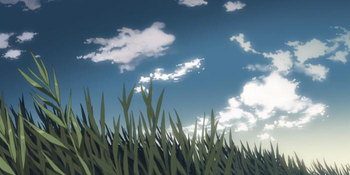 1920x1080 Grass animated Makoto Shinkai 5 Centimeters Per Second drawn