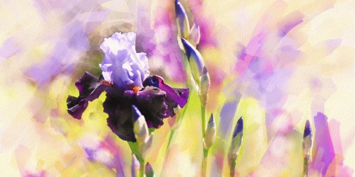 1332x850 Wallpaper flower, purple, flowers, figure, graphics, treatment