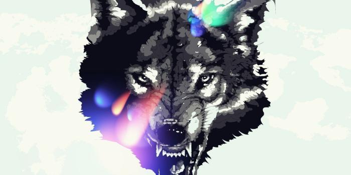 1920x1200 Wolf Drawing Wallpaper at GetDrawings.com | Free for personal use