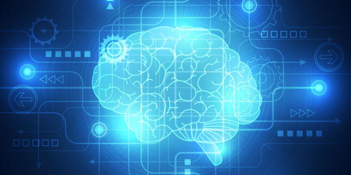 1920x1080 Machine Learning Smart Brain Wallpaper -