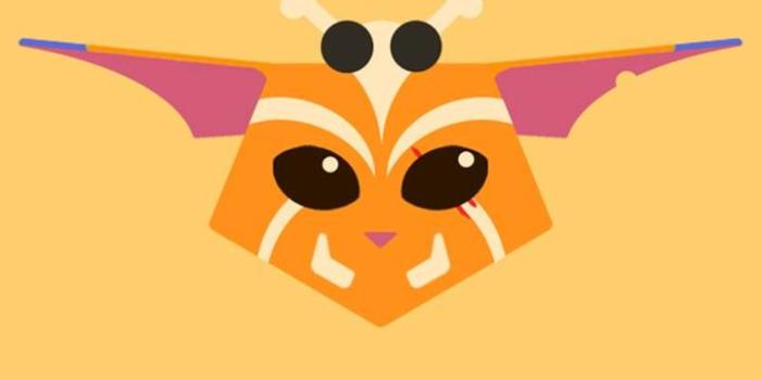 720x1280 Gnar Wallpaper by DMenTx - fb - Free on ZEDGE™