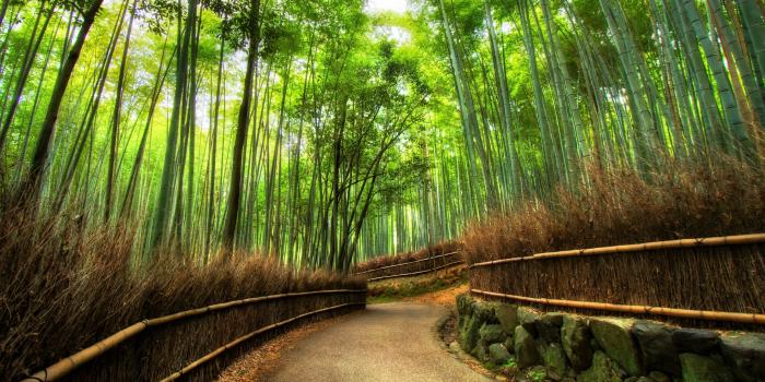 3840x2160 Arashiyama Wallpapers - Top Free Arashiyama Backgrounds