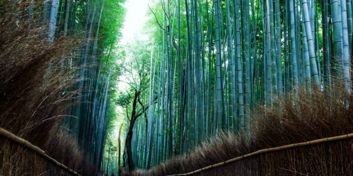 3840x2560 Arashiyama Wallpapers - Top Free Arashiyama Backgrounds