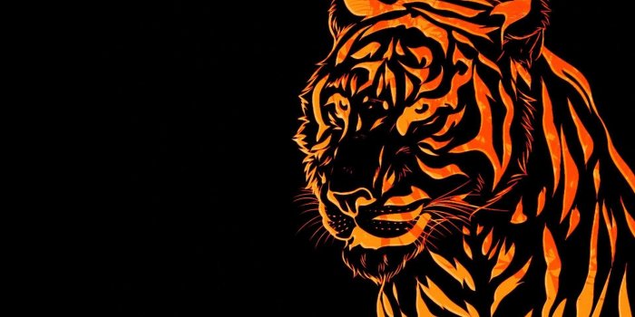 1920x1200 72+ Super Hd Wallpapers on WallpaperPlay