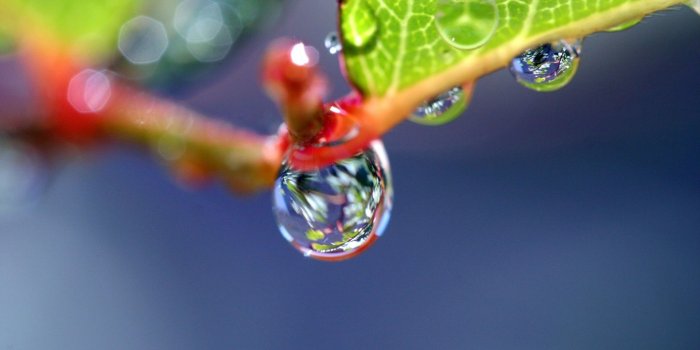 1920x1080 72+ Super Hd Wallpapers on WallpaperPlay