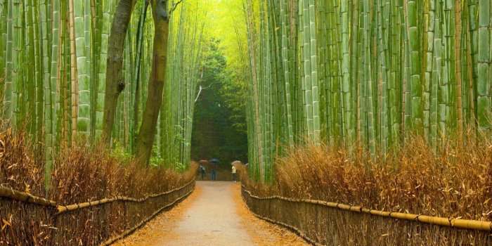 1600x900 Arashiyama Wallpapers - Top Free Arashiyama Backgrounds