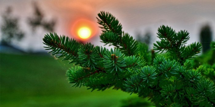 1920x1200 72+ Super Hd Wallpapers on WallpaperPlay