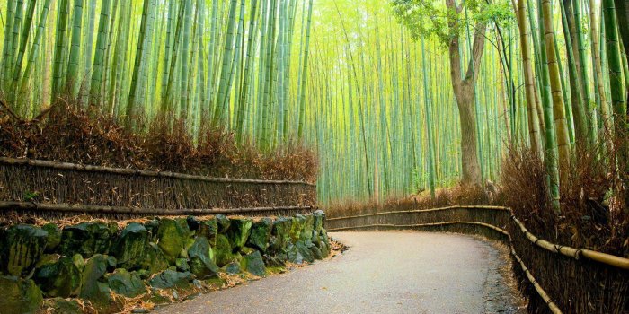 1600x900 Arashiyama Wallpapers - Top Free Arashiyama Backgrounds
