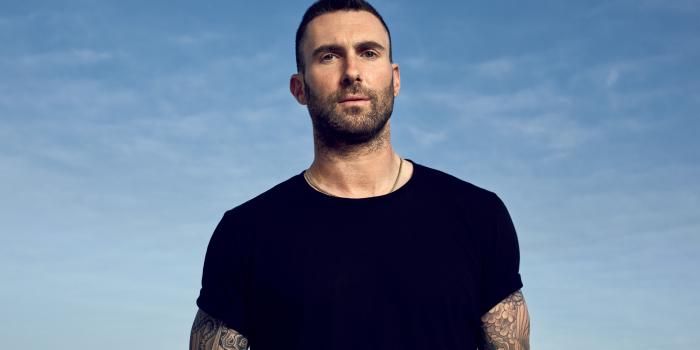 6614x4961 Adam Levine Ysl, HD Music, 4k Wallpapers, Images, Backgrounds