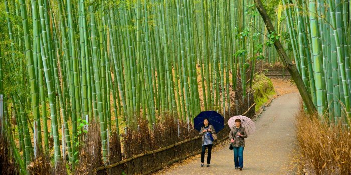 2560x1440 The 10 Best Arashiyama Luxury Hotels & Resorts | Expedia