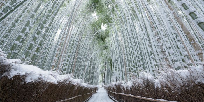 1920x1080 69+ Winter Wallpapers on WallpaperPlay