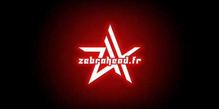 1024x768 zebrahead - Zebrahead 写真 (22989149) - ファンポップ