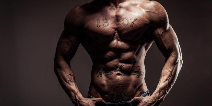 2048x1266 Muscles Wallpapers