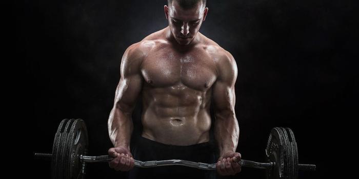 1920x1200 Muscles Wallpapers