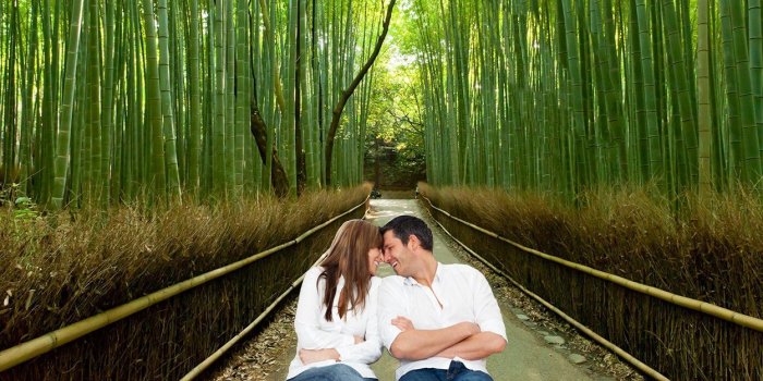 1250x1000 Bilderdepot24 Photo Wallpaper - Wall Mural Bambuswald in Arashiyama