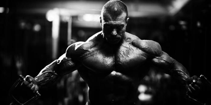 1328x700 Body-building fitness muscle muscles weight lifting Bodybuilding (6