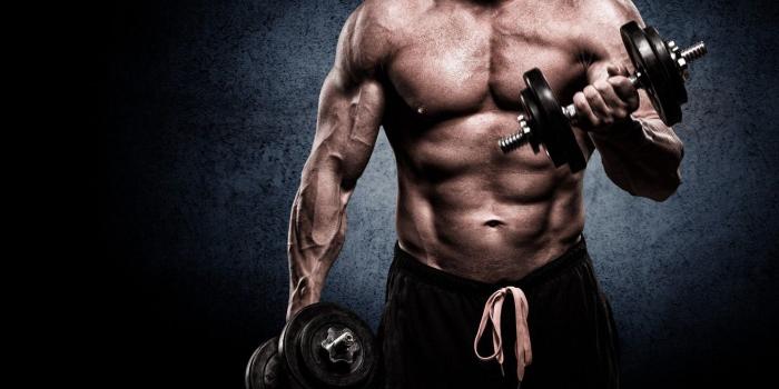 1332x850 Wallpaper muscle, man, gym, bodybuilder, barbell images for desktop