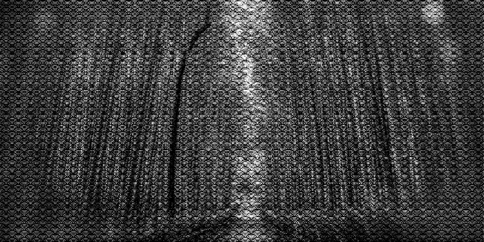 1182x750 Arashiyama Bamboo Forest Arashiyama Bamboo Forest Phyllostachys