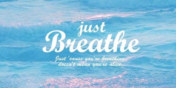 744x1392 55+ Calm iPhone Wallpapers - Download at WallpaperBro