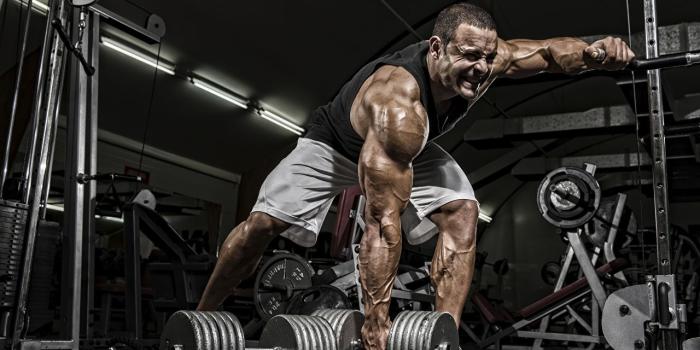 1280x854 Desktop Wallpapers Men Gym Muscle Physical exercise Sport Dumbbells