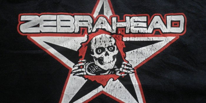 1600x1200 ZebraHead Band Tee | CariBundle