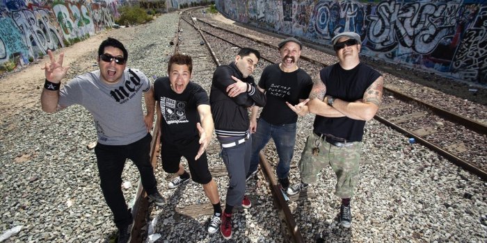 1332x850 Wallpaper Pop Punk, Zebrahead, Ed Udhus, Matty Lewis, Dan Palmer